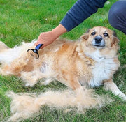 Upgraded Undercoat Rake for Dogs, Cat Dematting Tool, Perfect Deshedding Brush and Grooming Rake for Tangles, Knots or Mats Removal